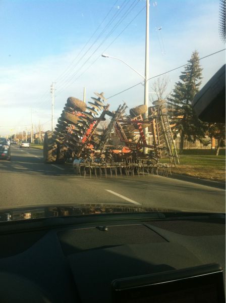 daily picdump 101 pics 11.html - 101 HD Photos | Premium Gallery 2011