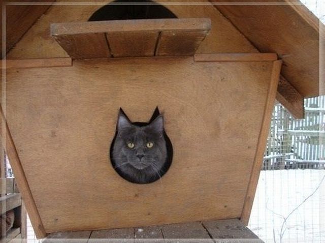 daily picdump 101 pics 11.html - 101 HD Photos | Premium Gallery 2011