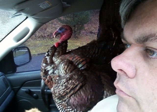 Funny Thanksgiving Moments