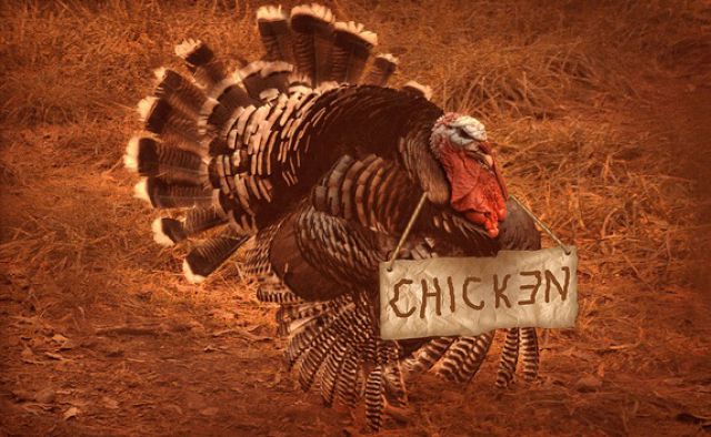 Funny Thanksgiving Moments