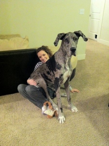 morning picdump 60 pics 11.html - 60 HD Photos | Premium Gallery 2011