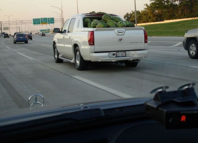 morning picdump 60 pics 11.html - 60 HD Photos | Premium Gallery 2011
