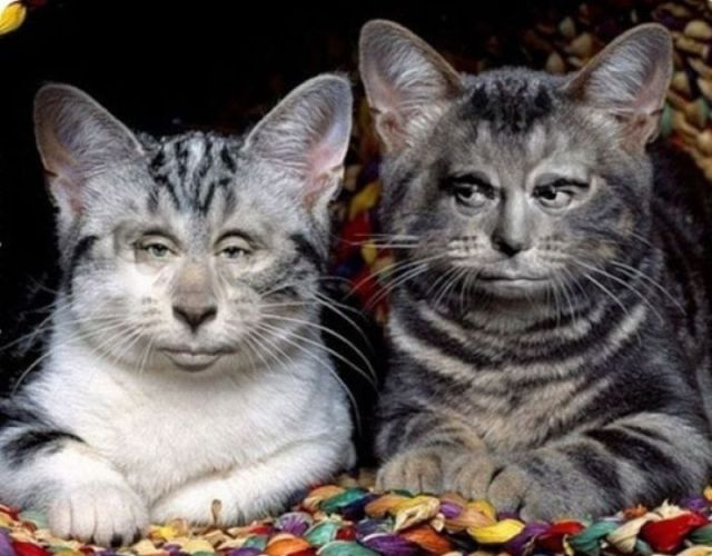 morning picdump 60 pics 11.html - 60 HD Photos | Premium Gallery 2011