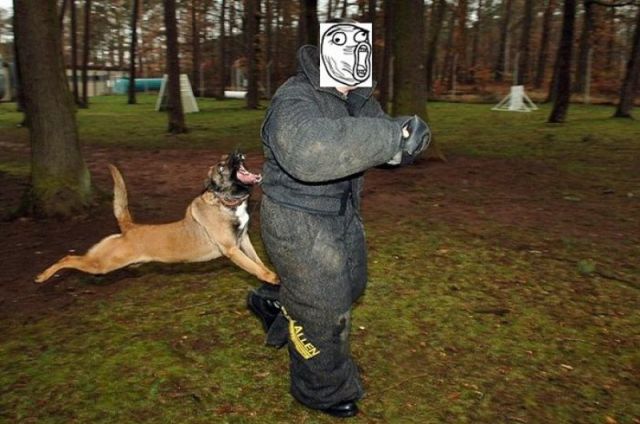 morning picdump 60 pics 11.html - 60 HD Photos | Premium Gallery 2011
