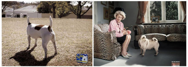 advertising ripoff cases 74 pics 10.html - 74 HD Photos | Premium Gallery 2011