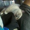 curiosities and bonus pictures.html - 1 HD Photos | Premium Gallery 2010