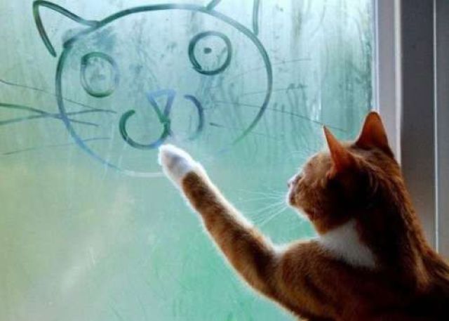 morning picdump 63 pics 11.html - 63 HD Photos | Premium Gallery 2012
