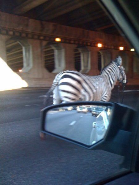 morning picdump 57 pics 21.html - 57 HD Photos | Premium Gallery 2012