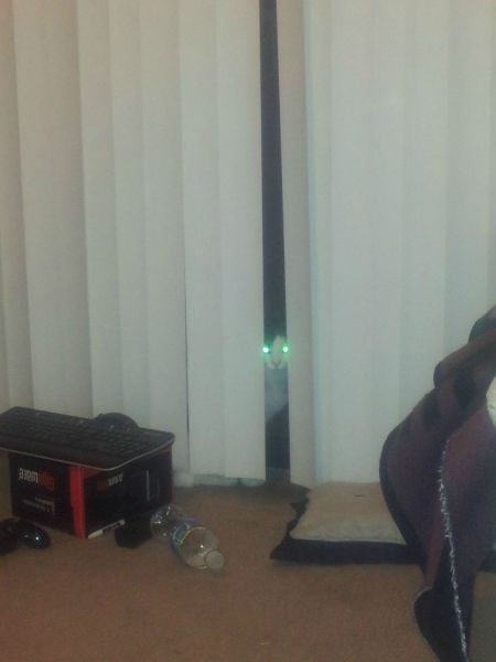 morning picdump 57 pics 15.html - 57 HD Photos | Premium Gallery 2012