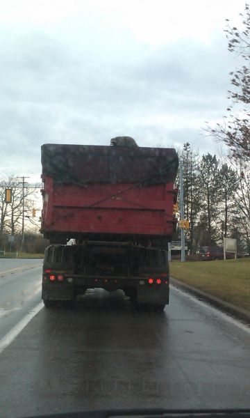morning picdump 57 pics 15.html - 57 HD Photos | Premium Gallery 2012