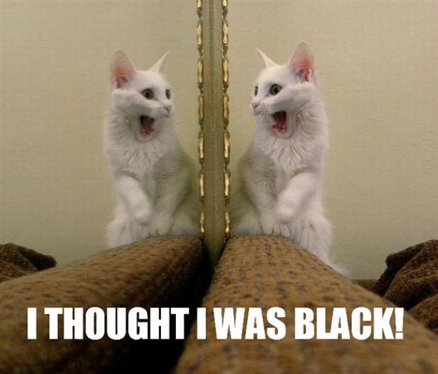 Funny Word and Pic Combos