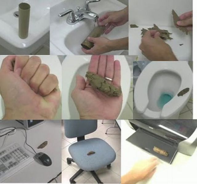 Morning Picdump