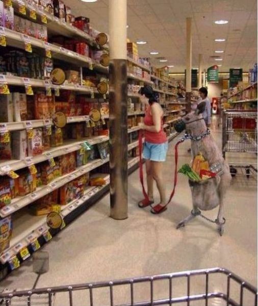 Daily Picdump