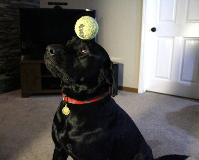 Daily Picdump