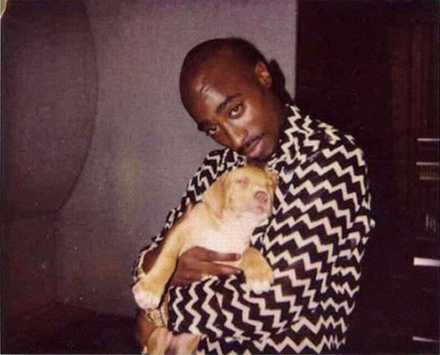 rare photographs of celebrities part 19 144 pics 3.html - 144 HD Photos | Premium Gallery 2012