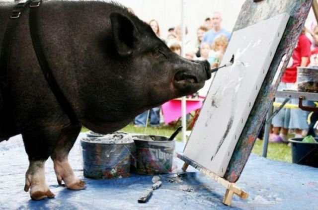 morning picdump 57 pics 36.html - 57 HD Photos | Premium Gallery 2012