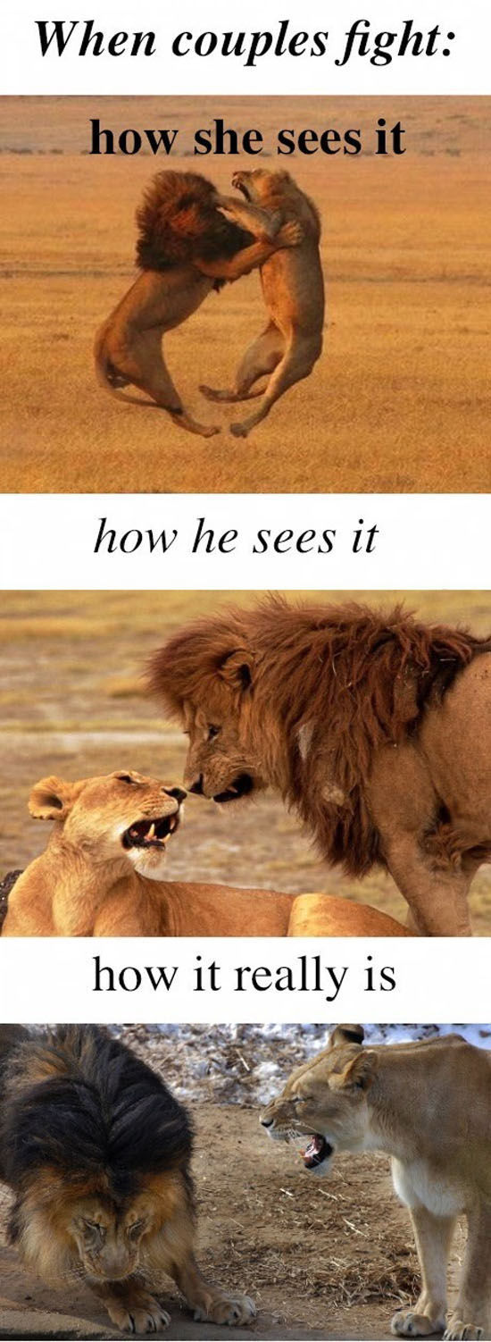 Guys vs. Girls