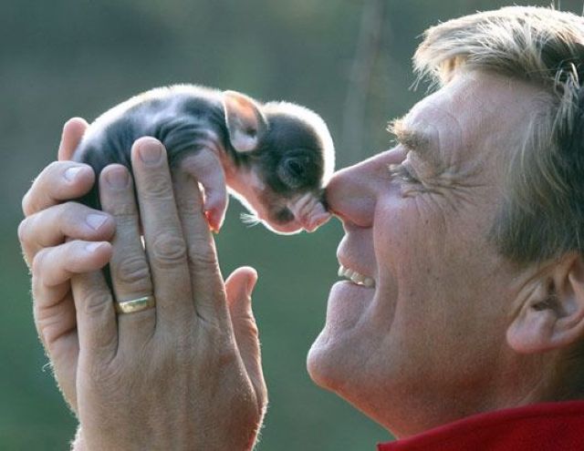 morning picdump 55 pics 11.html - 55 HD Photos | Premium Gallery 2012