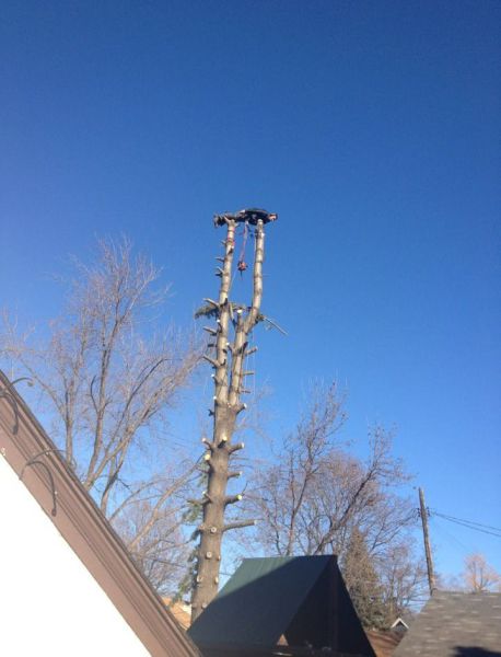 morning picdump 55 pics 11.html - 55 HD Photos | Premium Gallery 2012