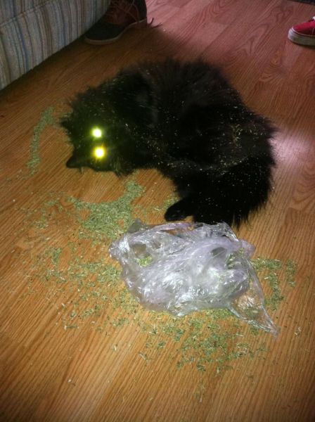 morning picdump 54 pics 13.html - 54 HD Photos | Premium Gallery 2012