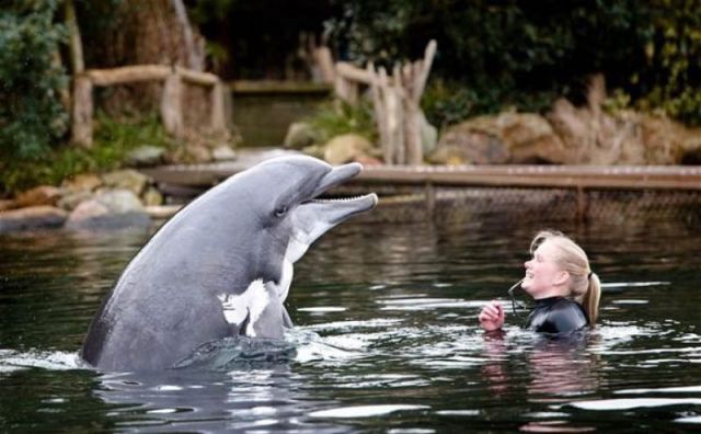morning picdump 54 pics 13.html - 54 HD Photos | Premium Gallery 2012