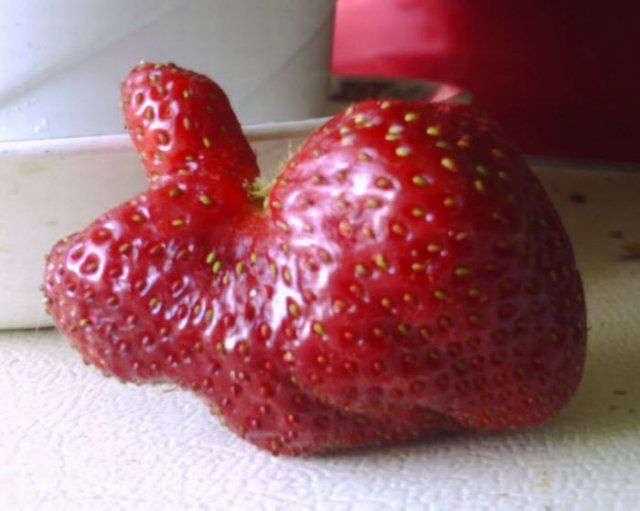 morning picdump 54 pics 13.html - 54 HD Photos | Premium Gallery 2012