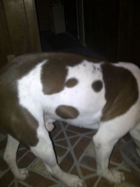 morning picdump 54 pics 13.html - 54 HD Photos | Premium Gallery 2012