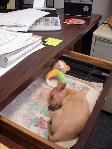 morning picdump 50 pics 10.html - 50 HD Photos | Premium Gallery 2012