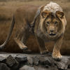 meanwhile in brazil.html - 1 HD Gallery | Premium Gallery 2012