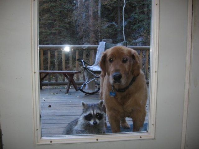 morning picdump 50 pics 43.html - 50 HD Photos | Premium Gallery 2012