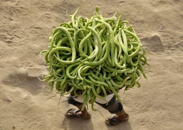 morning picdump 51 pics 22.html - 51 HD Photos | Premium Gallery 2012