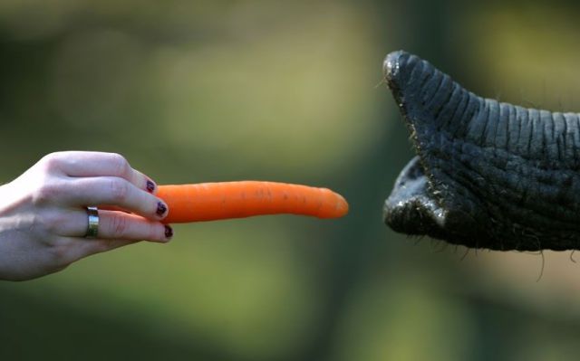 morning picdump 51 pics 22.html - 51 HD Photos | Premium Gallery 2012