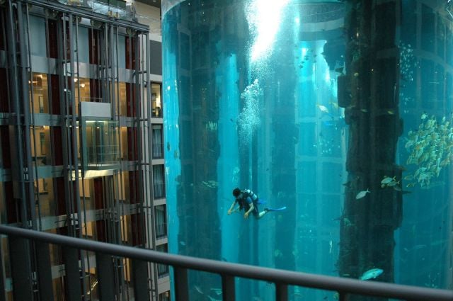 morning picdump 51 pics 22.html - 51 HD Photos | Premium Gallery 2012