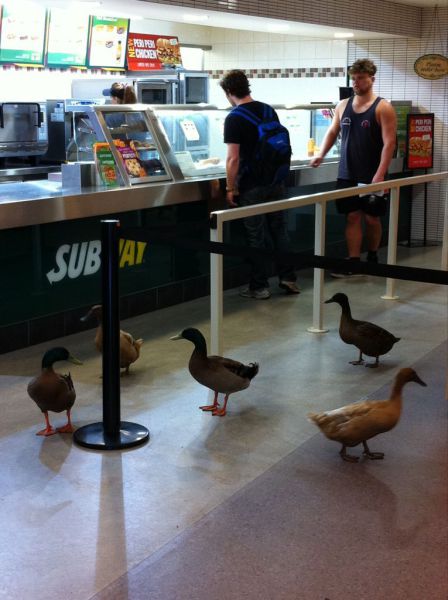 morning picdump 51 pics 22.html - 51 HD Photos | Premium Gallery 2012