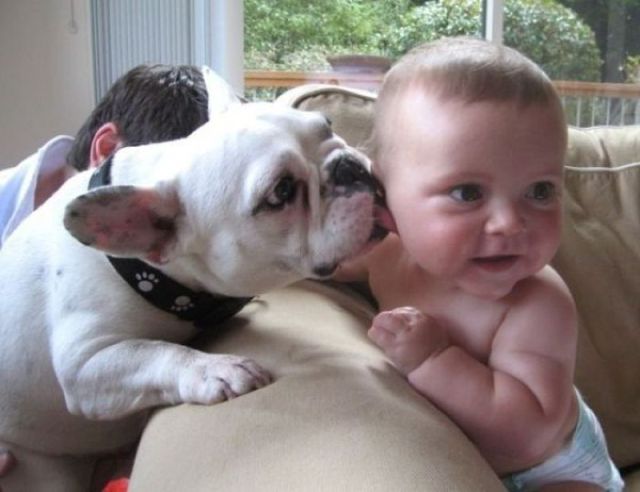 morning picdump 52 pics 44.html - 52 HD Photos | Premium Gallery 2012