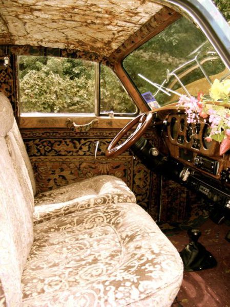 morning picdump 51 pics 2.html - 51 HD Photos | Premium Gallery 2012