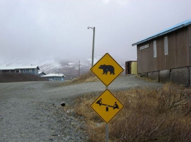 morning picdump 51 pics 2.html - 51 HD Photos | Premium Gallery 2012