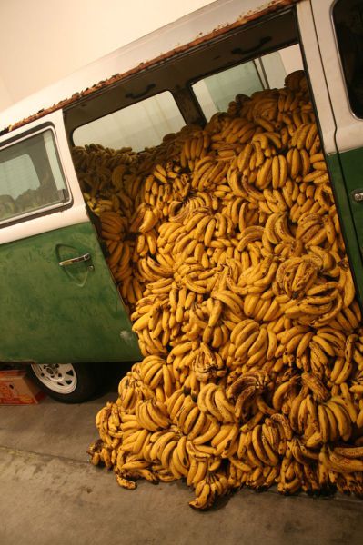morning picdump 51 pics 2.html - 51 HD Photos | Premium Gallery 2012
