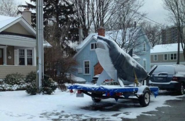 morning picdump 50 pics 45.html - 50 HD Photos | Premium Gallery 2012
