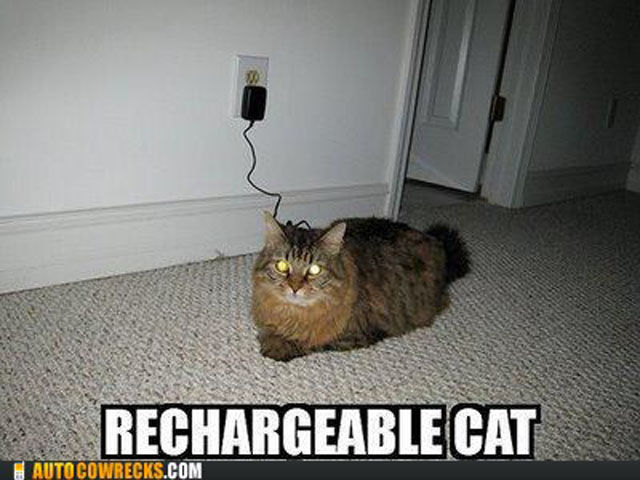 Funny Picdump