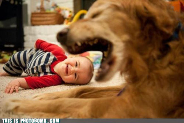 Funny Picdump