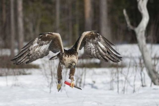 morning picdump 50 pics 13.html - 50 HD Photos | Premium Gallery 2012