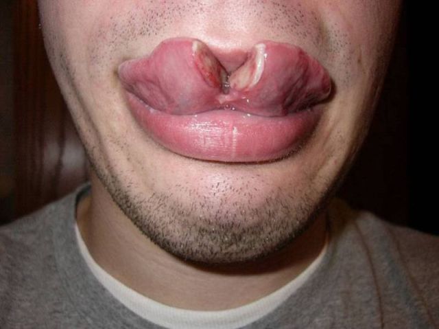 morning picdump 51 pics 12.html - 51 HD Photos | Premium Gallery 2012