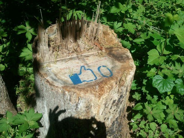 morning picdump 52 pics 22.html - 52 HD Photos | Premium Gallery 2012