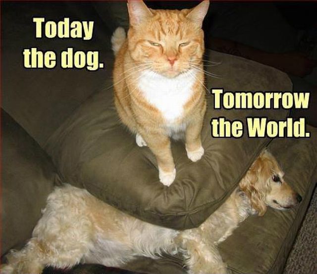 morning picdump 57 pics 30.html - 57 HD Photos | Premium Gallery 2012
