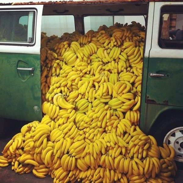 morning picdump 57 pics 30.html - 57 HD Photos | Premium Gallery 2012