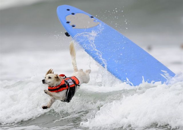 morning picdump 57 pics 30.html - 57 HD Photos | Premium Gallery 2012