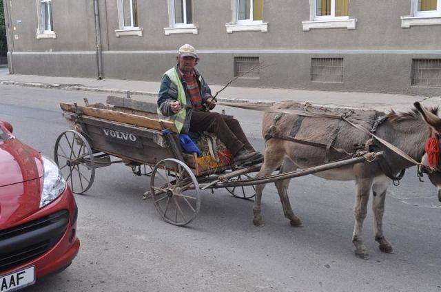 morning picdump 57 pics 30.html - 57 HD Photos | Premium Gallery 2012