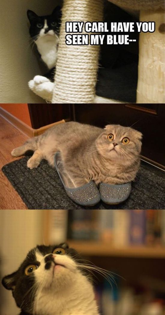 morning picdump 57 pics 30.html - 57 HD Photos | Premium Gallery 2012