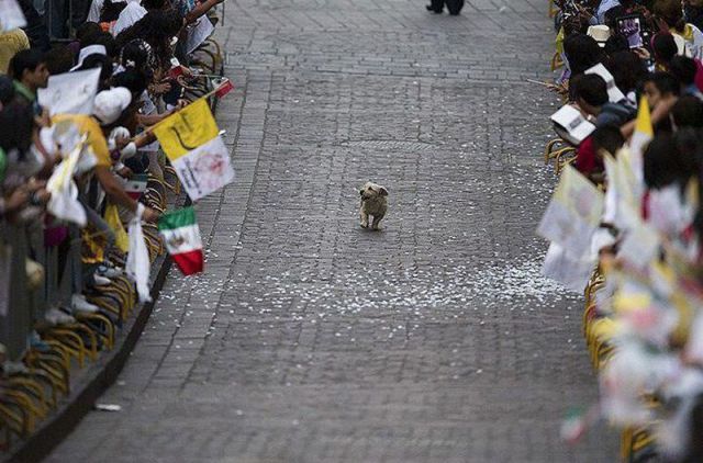 morning picdump 57 pics 29.html - 57 HD Photos | Premium Gallery 2012